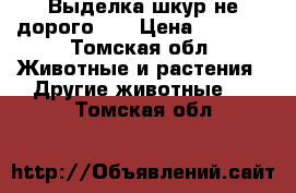 Выделка шкур не дорого!!! › Цена ­ 1 000 - Томская обл. Животные и растения » Другие животные   . Томская обл.